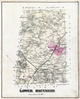 Lower Macungie, Lehigh County 1876